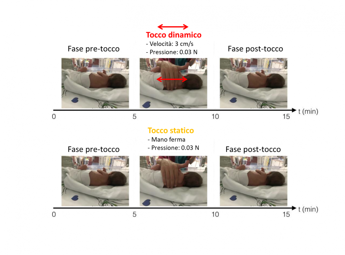 TOCCO DINAMICO E FISIOLOGIA DEL NEONATO PREMATURO