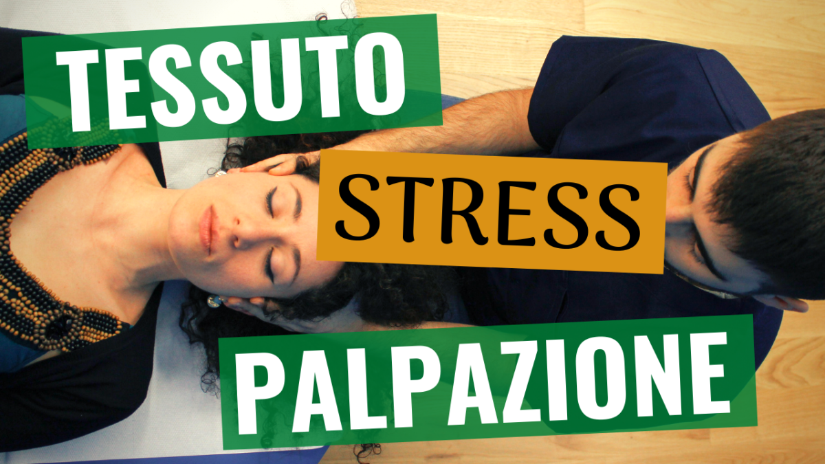 OSTEOPATIA e PALPAZIONE